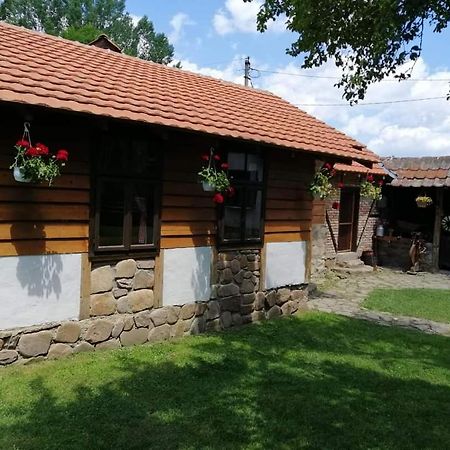 Vila Etno Kuca Nikolov Dimitrovgrad Exteriér fotografie