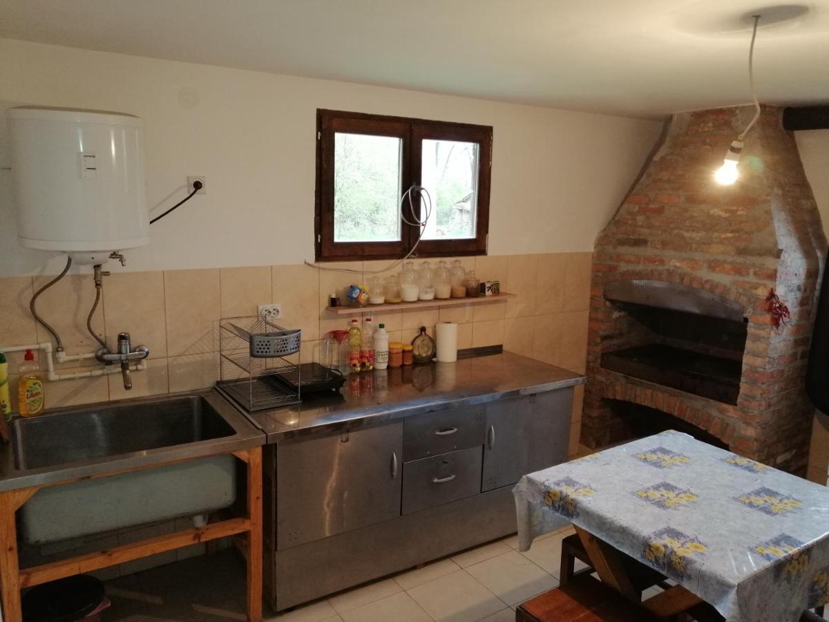 Vila Etno Kuca Nikolov Dimitrovgrad Exteriér fotografie