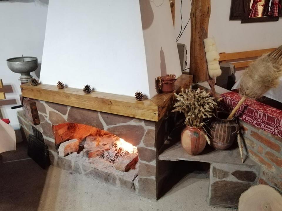 Vila Etno Kuca Nikolov Dimitrovgrad Exteriér fotografie