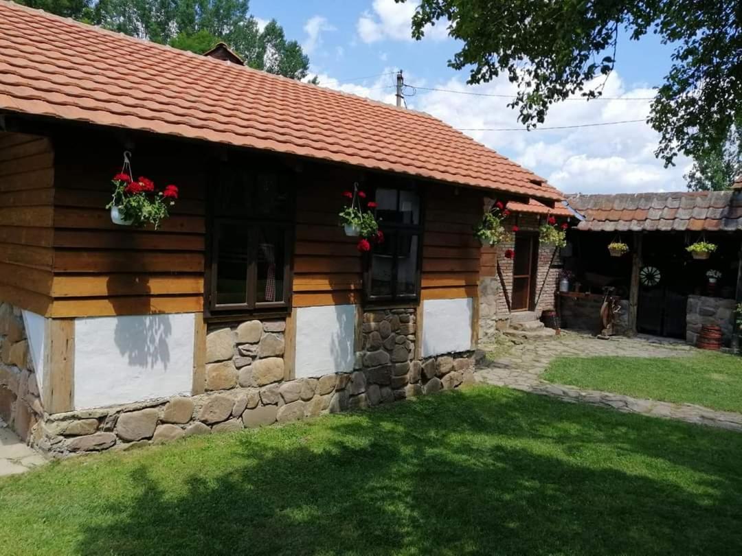 Vila Etno Kuca Nikolov Dimitrovgrad Exteriér fotografie
